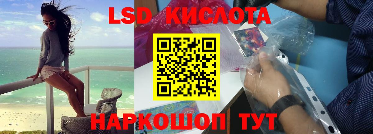 А ПВП Кудрово